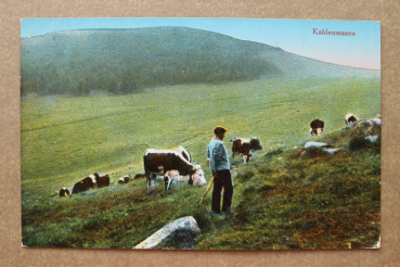 Ansichtskarte AK Kahlenwasen Luttenbach pres Munster 1905-1915 Kuhhirte Kühe hüten Hirte Landwirtschaft Ortsansicht Frankreich France 68 Haut Rhin